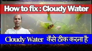 Cloudy Water Kayse thik kare  how to fix a cloudy fish tank [upl. by Siro]