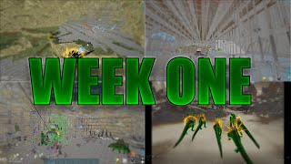 Ark MTS  First Week Of The Wipe [upl. by Letsyrhc]