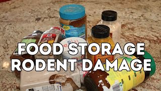 Food Storage Rodent Damage [upl. by Gerdi]