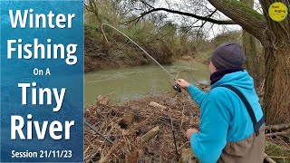 Small River Fishing With Bread amp Worms  Roving A Tiny Stretch In Winter  211123 Video 451 [upl. by Ano39]