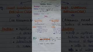 endoplasmic reticulumtrending biology ncert shorts yteducation lt [upl. by Alilad]