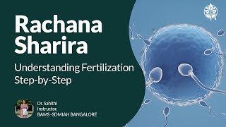 Understanding Fertilization Basics in Rachana Sharira  BAMS Guide with Dr Sahithi [upl. by Ramey41]