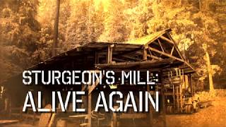 Sturgeons Mill  Alive Again [upl. by Leroy]