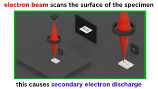 Electron Microscopy TEM and SEM [upl. by Lysander693]