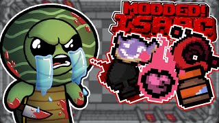 ALL STATS UP EVERY FLOOR  Modded Binding of Isaac Repentance Streaking  Part 34 [upl. by Rhys]