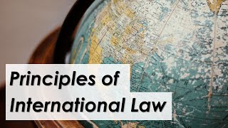 Main principles governing the international legal system  LexIcon [upl. by Serrell]