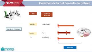 Introducción de Contrato laboral [upl. by Velda]