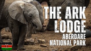 The Ark Lodge  Hidden Gem In Kenya Aberdare National Park [upl. by Colpin163]