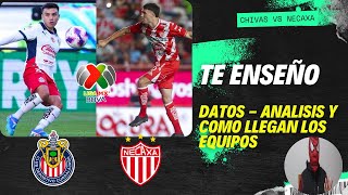 TE ENSEÑO DATOS DEL CHIVAS VS NECAXA  ANALISIS HISTORIAL Y COMO VIENEN LOS EQUIPOS [upl. by Elorac]