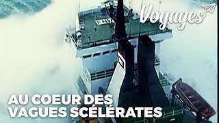 Au coeur des tempêtes  Documentaire [upl. by Jonah855]