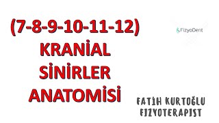 712 Kranial Sinirler  ANATOMİ SİSTEMLER KONU ANLATIMI 13 [upl. by Nickie]