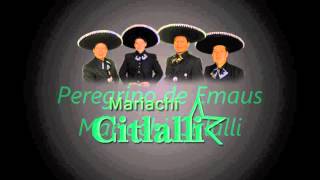 Misa Mariachi New York Peregrino de Emacs 914 9121497 [upl. by Ahsinan]