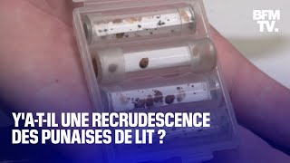 Yatil une recrudescence des punaises de lit en France [upl. by Fishback864]