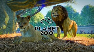 Planet Zoo  Day in the life of a LION [upl. by Duck]