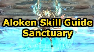 Aloken Skill Guide  Sanctuary Build  Dekaron Class Guide [upl. by Stuckey]