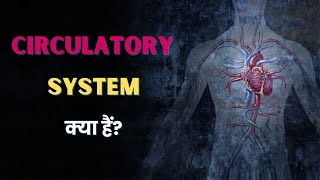 What is Circulatory System  Hindi  Quick Support [upl. by Piks190]