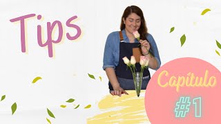 Floristería Básica  💡 Tips para Floristas  1 💡 [upl. by Hanfurd]