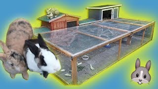 Kaninchen ziehen um 🐰 Großes KANINCHENGEHEGE bauen🐾 Innen zur Draußenhaltung [upl. by Sulamith]