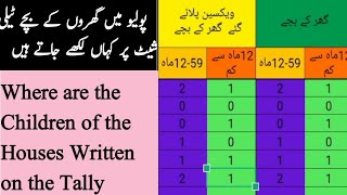 How to Fil Polio Campaign Tally Sheet part 2 پولیو مہم میں گھروں کے بچے ٹیلی شیٹ پر کہاں لکھیں [upl. by Airamas]