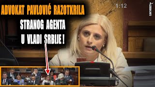 Skupština Ova je ministarka kriva za litijum Pavlović iz Mi otkrila stranog agenta u Vladi SRB [upl. by Laney548]