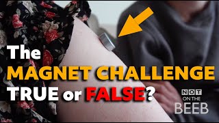 The Magnet Challenge True of False Not On The Beeb investigates [upl. by Ostap945]