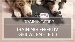 TEIL 1 Hund effektiv trainieren  Hundetraining richtig aufbauen [upl. by Trebo]