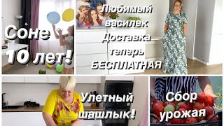 🔴ПРОВОЖАЕМ гостейСекретный рецепт шашлыка 🤫 Невероятный урожай Любимый василекобзорновинки [upl. by Ardnahs]