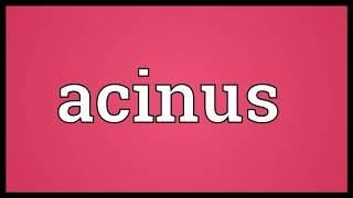 Acinus Meaning [upl. by Narcis232]