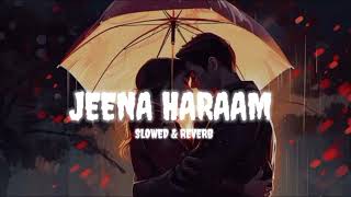 JEENA HARAAM TRENDING SONG LOFI  SLOWED amp REVERB  UB NOOB [upl. by Eneja]