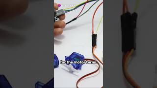 Mastering Arduino Servo Motors in a Snap [upl. by Auod]