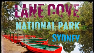 Lane Cove National Park  Sydney [upl. by Teodoor]