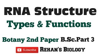 RNA Ribonucleic acid आरएनए II Structuretypes amp Functions IIRehans Biology [upl. by Hanahsuar517]