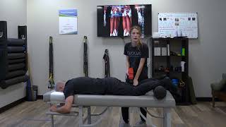 How to use a Massage Gun Hamstrings and Calves [upl. by Centonze41]