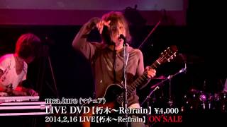 mature【LIVE：朽木〜Refrain】Spot [upl. by Spatz]