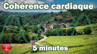 La cohérence cardiaque en Bourgogne [upl. by Xuagram873]