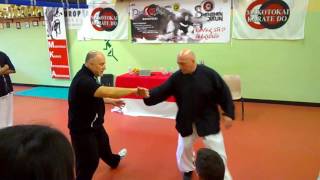 MAESTRO PAOLO BOLAFFIO  PRIMO CERCHIO VITALE DEL TAI CHI BUDOKAN AREZZO KENPO JUJITSU [upl. by Esital]