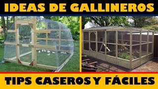 Las Mejores Ideas para hacer Gallineros  Tips Caseros [upl. by Kenleigh309]