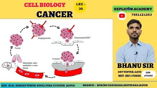 Cancer ll Oncogene ll tumour suppressor gene ll molecular mechanism of cancer development [upl. by Nanerb391]