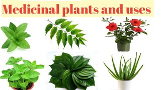 Medicinal plants and usesBenefits of medicinal plants [upl. by Goldfarb]