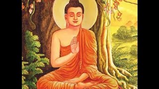 retraite méditation vipassana pleine conscience mindfullness wwwretraitesvipassanaorg [upl. by Eseenaj261]