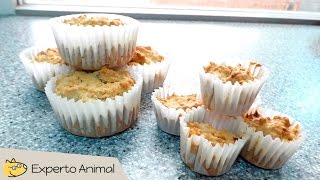 Muffins caseros para perros  Snacks para perros [upl. by Gurias]