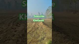 KHETI BADI viralvideo farmer farming shorts shortsfeed farmer love [upl. by Iggep186]