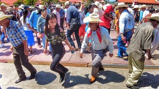 DISFRUTA UNA HORA DE HUAPANGO EN XILITLA 🇲🇽 EDICIÓN 695 [upl. by Wadleigh]