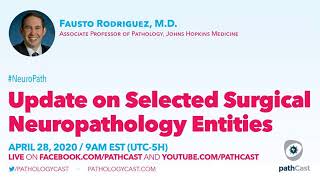 Update on Selected Surgical Neuropathology Entities  Dr Rodriguez Hopkins NEUROPATH [upl. by Sochor]