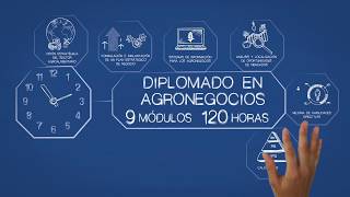 Diplomado en Agronegocios  Tecnológico de Monterrey [upl. by Casta]