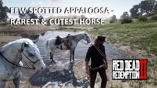 Few Spotted Appaloosa Location  Will Make You Happy  RDR2 [upl. by Niletak]