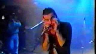 litfiba eroi nel vento live 1987 [upl. by Bjorn]