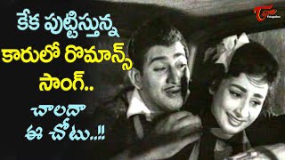 Chalada Ee Chotu Song  Kanchana Krishna Full Rain Song  Nenante Nene Movie  Old Telugu Songs [upl. by Euqnimod]