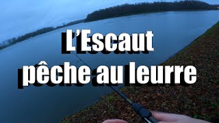 Ma première fois sur lEscaut en Belgique 🌎 pêche au leurre [upl. by Fern]