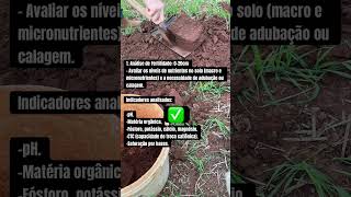 Coleta de amostras de solo para agriculturadeprecisão 🎯 [upl. by Teiv]